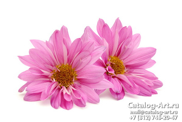 Pink flowers 80
